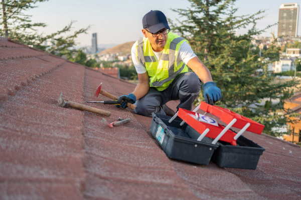 Professional Roofing Contractor Services Professional Roofing Contractor Services